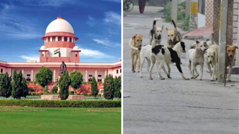 सुप्रीम कोर्ट कुत्ते सड़क