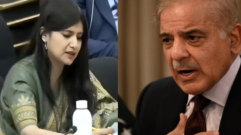 भारत IMF तुलना बयान