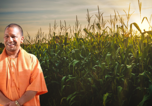 योगी कृषि इंटरक्रॉपिंग मॉडल