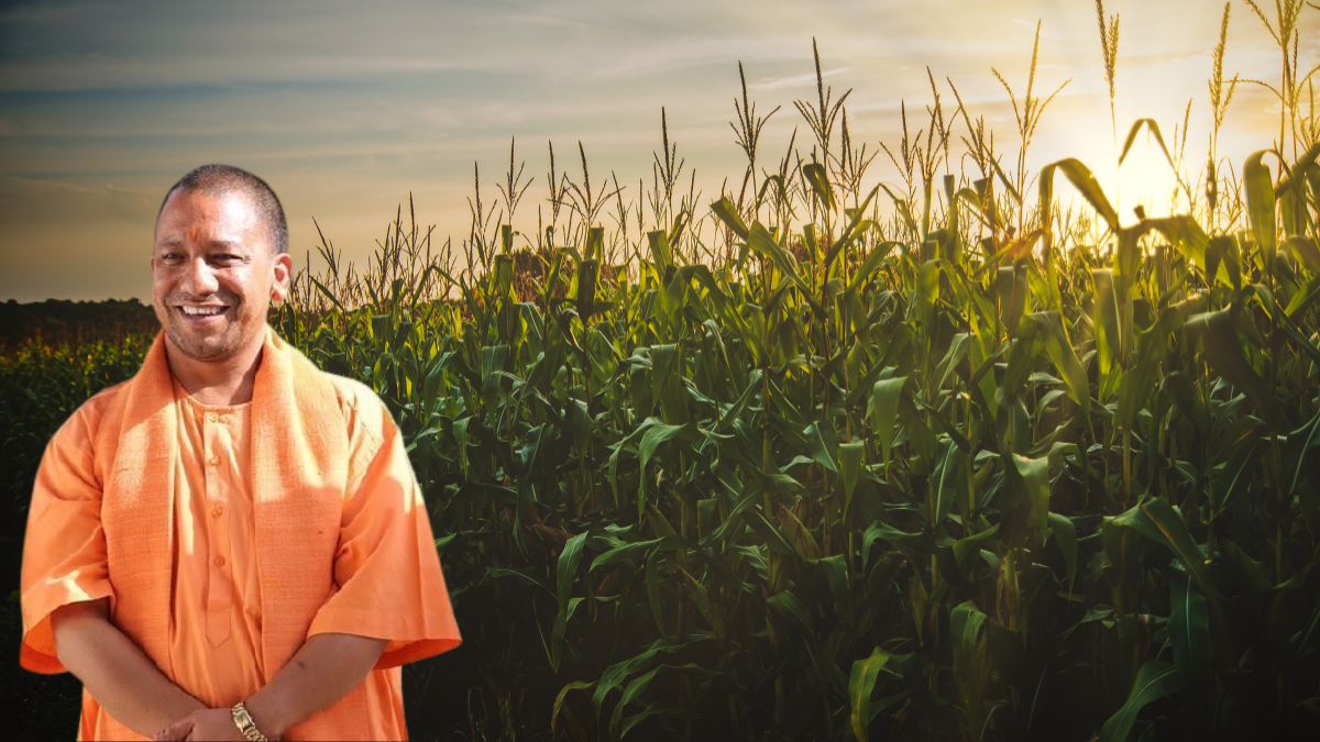 योगी कृषि इंटरक्रॉपिंग मॉडल