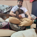 गोरखपुर में बकरीद 2026