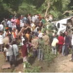 श्रद्धालुओं से भरी बस खड्ड में पलट गई
