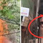 दिल्ली के मालवीय नगर स्थित होटल