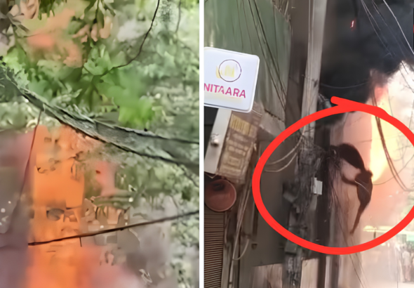 दिल्ली के मालवीय नगर स्थित होटल