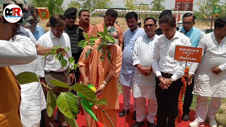 विश्व पर्यावरण दिवस