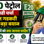 E20 पेट्रोल