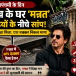 Mannat Snake News