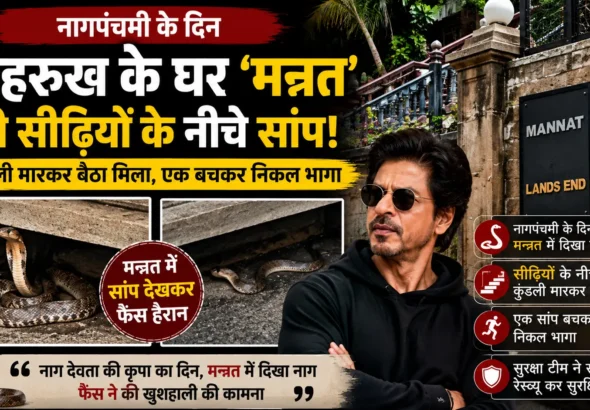 Mannat Snake News