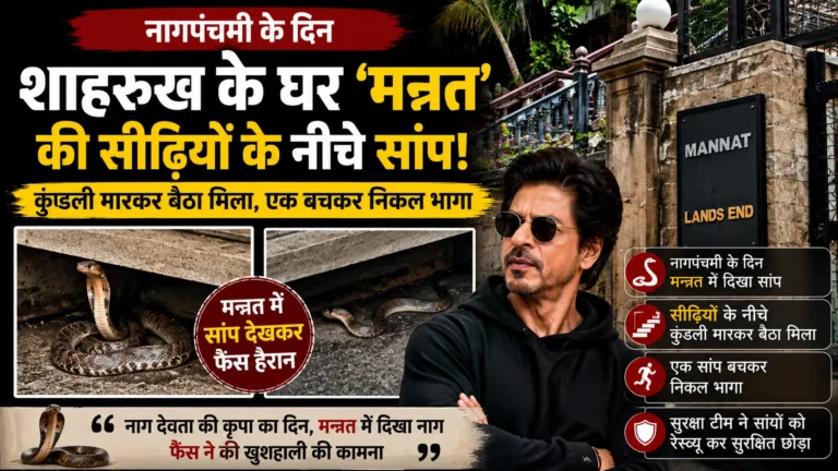 Mannat Snake News
