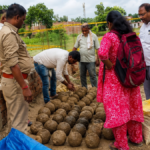 29 धातु के गोले मिले