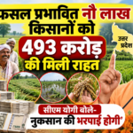 यूपी में 9,18,091 किसानों